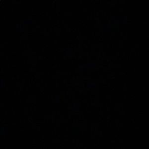 Meet your Posher, Elmi